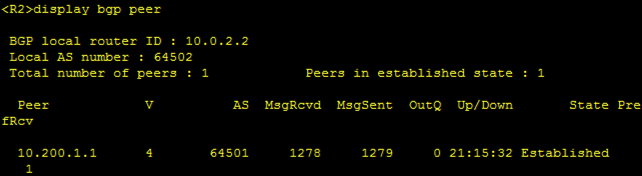 huawei-ebgp-display-bgp-peer