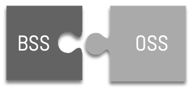 bss-oss-jigsaw